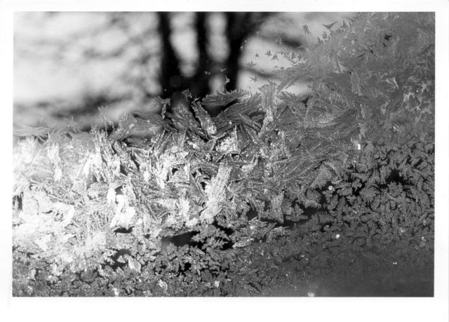 frost pattern on window